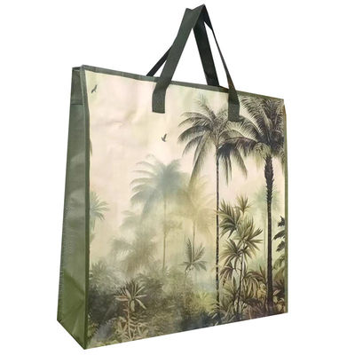 Tas Tenun Laminasi Ramah Lingkungan yang Dapat Disesuaikan dengan Laminasi Glossy atau Matt